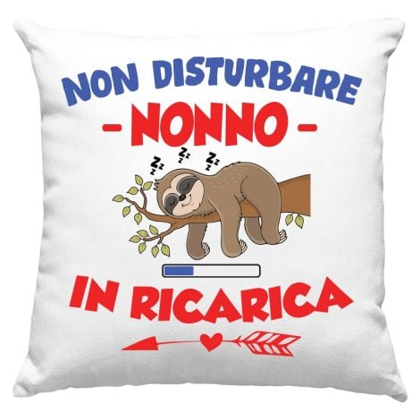 Federa Cuscino per Nonni Speciali, Regalo di Compleanno Unico, Frase Divertente, Non disturbare Nonno sul divano.