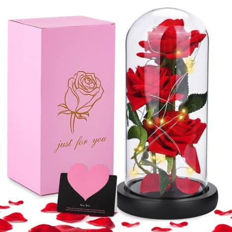 JOTOL Rosa Eterna, Incantevoli Rose de La Bella e La Bestia, Cupola di Vetro con Base e Luci LED, Regali Magici per San Valentino e Anniversario.