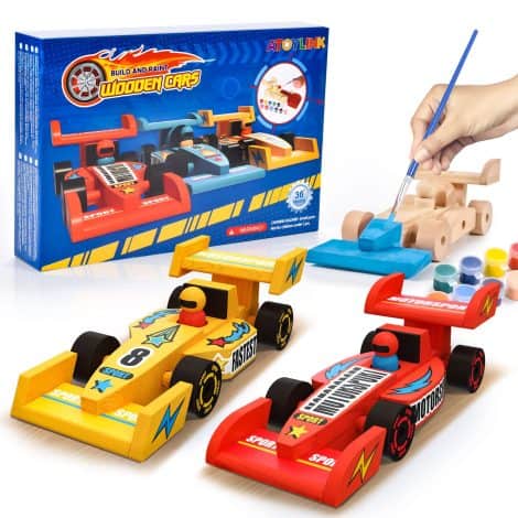 Kit Auto da Corsa in Legno Fai Da Te: Atoylink 3 pezzi per Bambini 5-8 anni. Parafada Italiano.